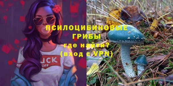трава Инта