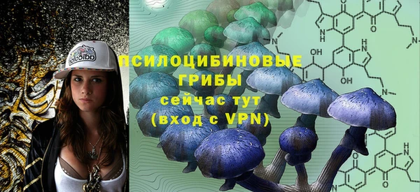 MDMA Инсар