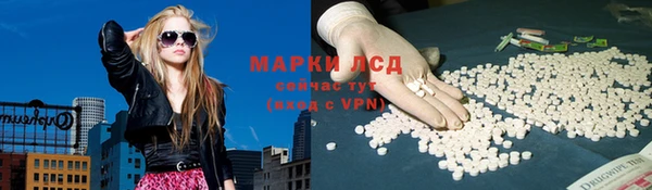 прущие крисы Зеленокумск