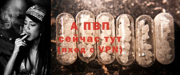 прущие крисы Зеленокумск