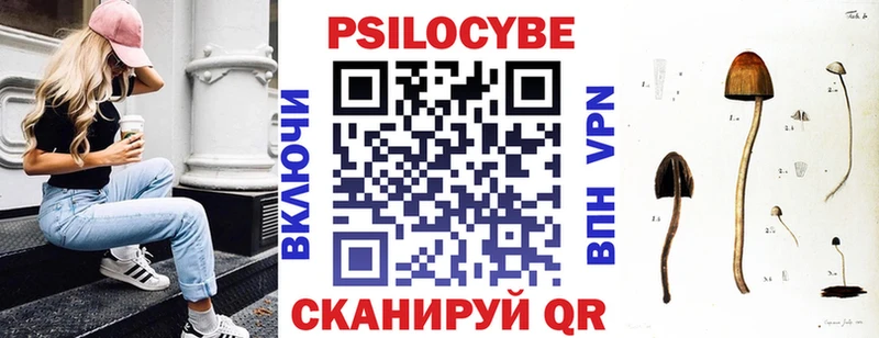 Псилоцибиновые грибы прущие грибы  Кызыл 